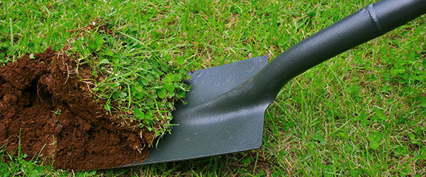 Shovel digging into soft fertile soil.